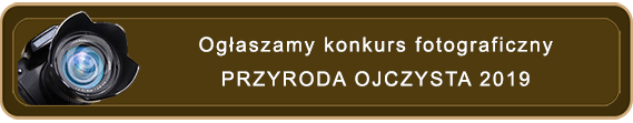 2019 Konkurs banner m